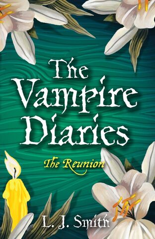 File:TVD Book 4 UK 2007.jpg