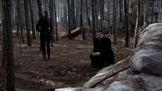 File:Elijah-and-Elena-3x15-elijah-and-elena-29159611-1280-720.jpg
