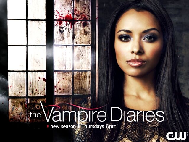 File:Season-4-promo-wallpaper-the-vampire-diaries-32578921-1023-768.jpg