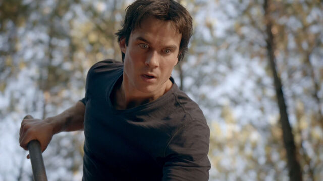 File:715-063-Damon.jpg