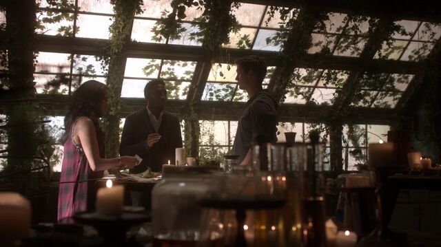 File:Normal TheOriginals204-0464KalenVincentLenore.jpeg