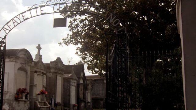File:Normal TheOriginals122-0480.jpg