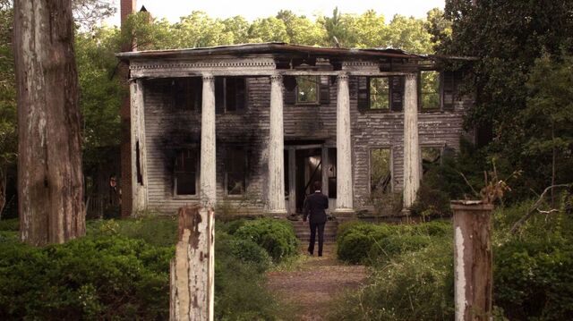 File:Normal TheOriginals206-0465.jpeg