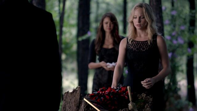 File:TVD 1458.jpg