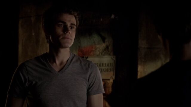 File:Stefan 10 TVD 5x04.jpg