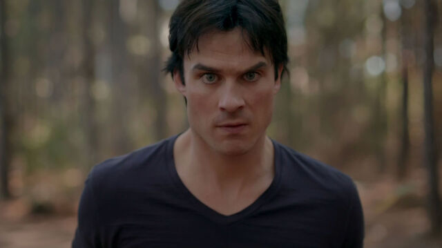 File:715-061-Damon.jpg