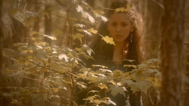 File:Normal TheOriginals205-0979 Tatia.jpeg