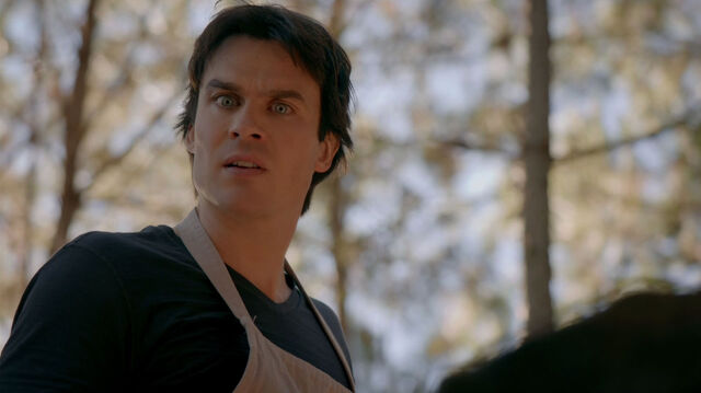 File:715-030-Damon.jpg