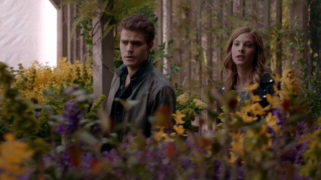 File:715-031-Stefan-Valerie.jpg
