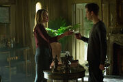 TO319promo Klamille