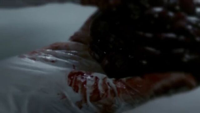 File:Torture times 9.jpg