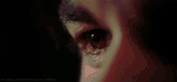 Katerina-Petrova-katerina-petrova-24119146-500-232.gif