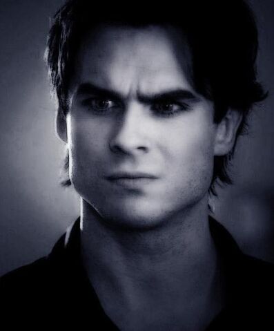File:Damon-damon-salvatore-28626439-497-600.jpg