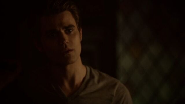 File:Stefan 29 TVD 5x04.jpg