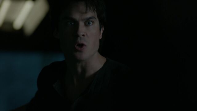 File:714-114-Damon.jpg