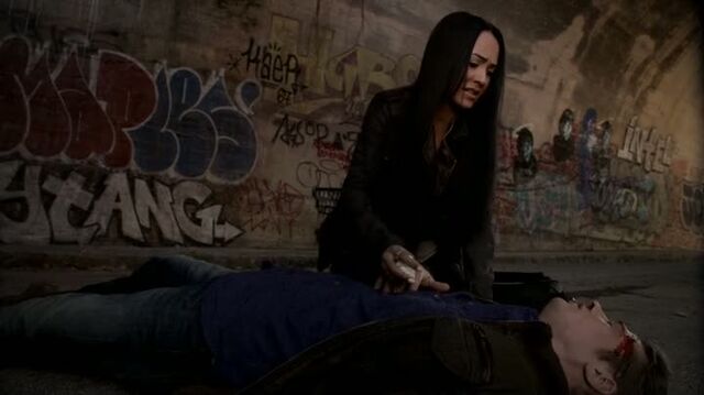 File:6X14-66-SarahMatt.jpg