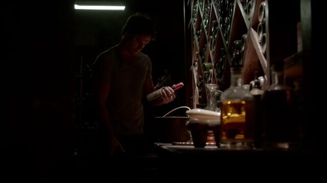 File:7X04-118-Damon.jpg