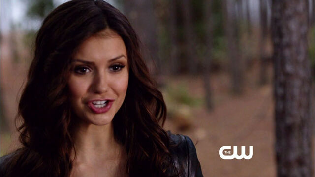 File:TVD 4x22-9.jpg