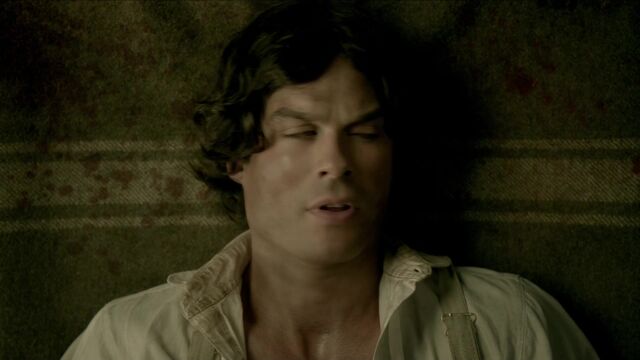 File:710-041-Damon.jpg