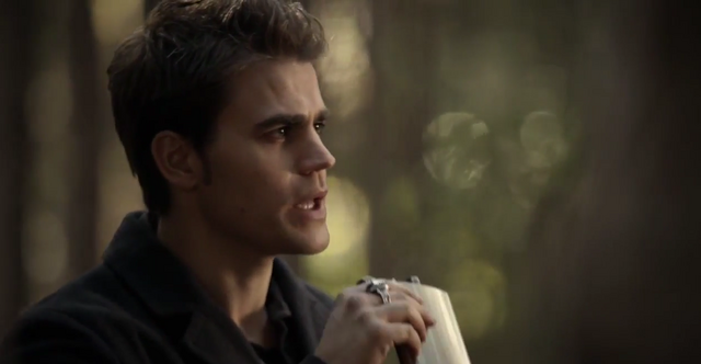 File:Stef- 6x13..png