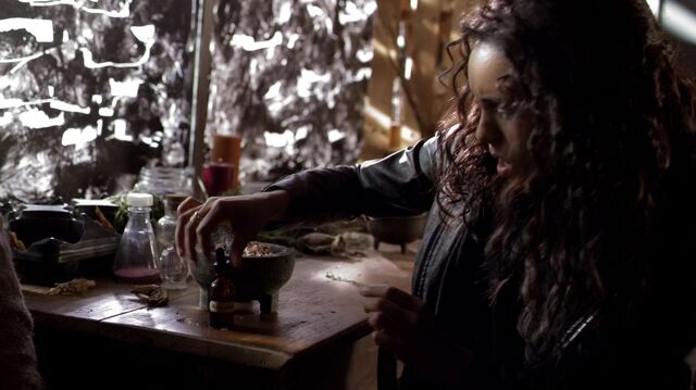 File:Normal TheOriginals217-0767.jpeg