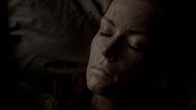 File:TVD 1132.jpg