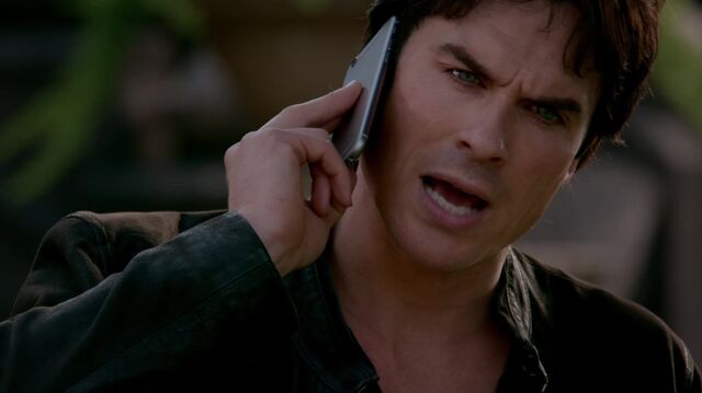 File:714-048-Damon.jpg