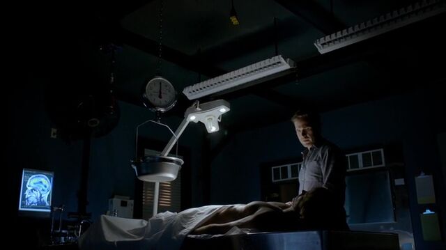 File:7X02-129-Alaric.jpg