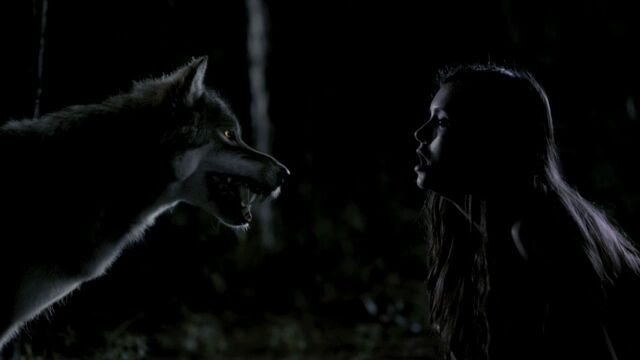 File:302VampireDiaries1121.jpg