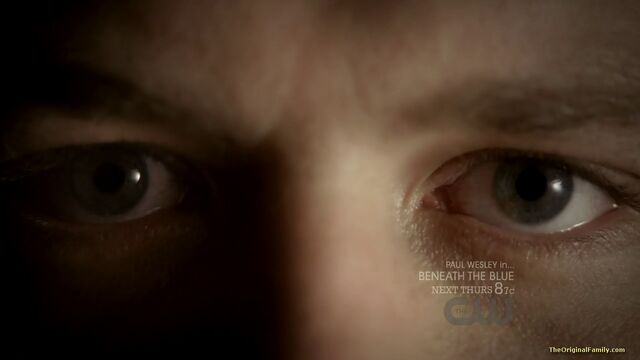 File:185-tvd-3x09-homecoming-theoriginalfamilycom.jpg
