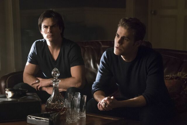 File:TVD707-1 Damon Stefan.jpg