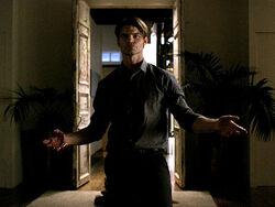 Vampire-diaries-elijah 450