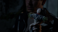 FigureVeritas1.png