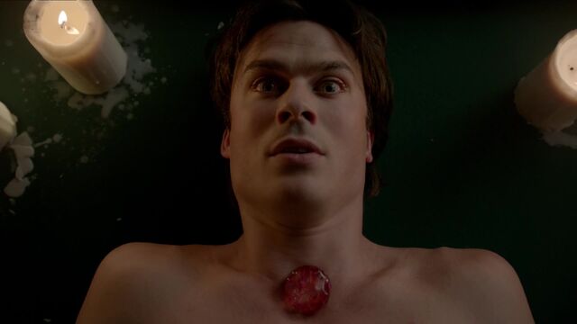File:710-026-Damon.jpg