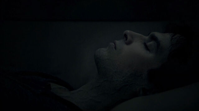 File:715-105-Damon.jpg
