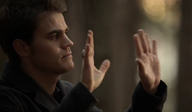 File:Stefan 6x13.png