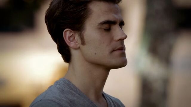 File:Stefan 15 TVD 5x04.jpg