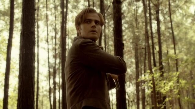 File:7X06-10-Stefan.jpg