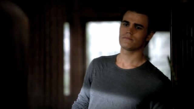 File:Stefan 309.jpg