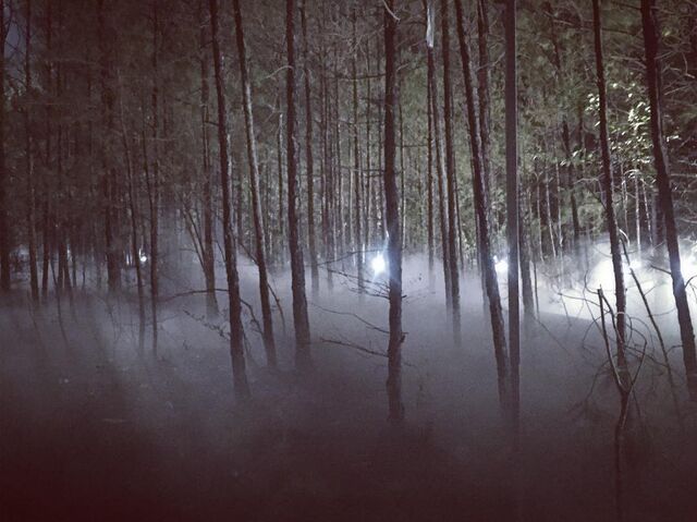 File:2016-03-24 Brian Young Instagram.jpg