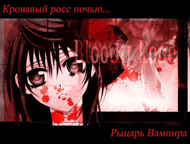 File:Bloody-rose-at-night-1-.jpg