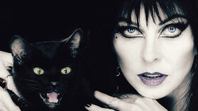 Vampire2