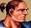 File:Vhclint.png
