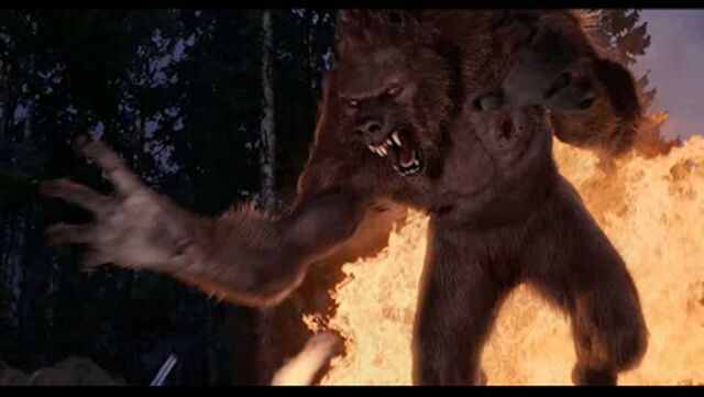 File:VanHelsingWolfman.jpg
