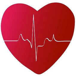 Heart monitor