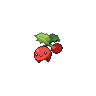Cherubi