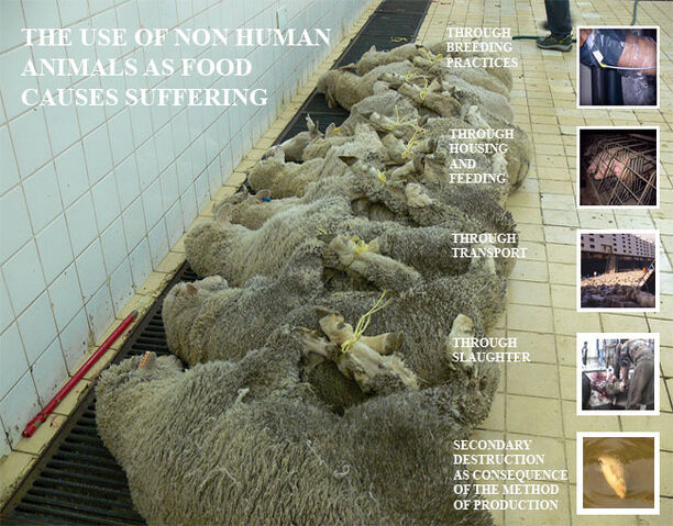 File:VeganSlaughter.jpg