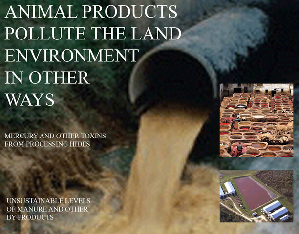 File:VeganOtherLand.jpg