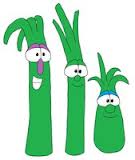 The scallion family