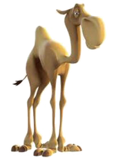 Joshua